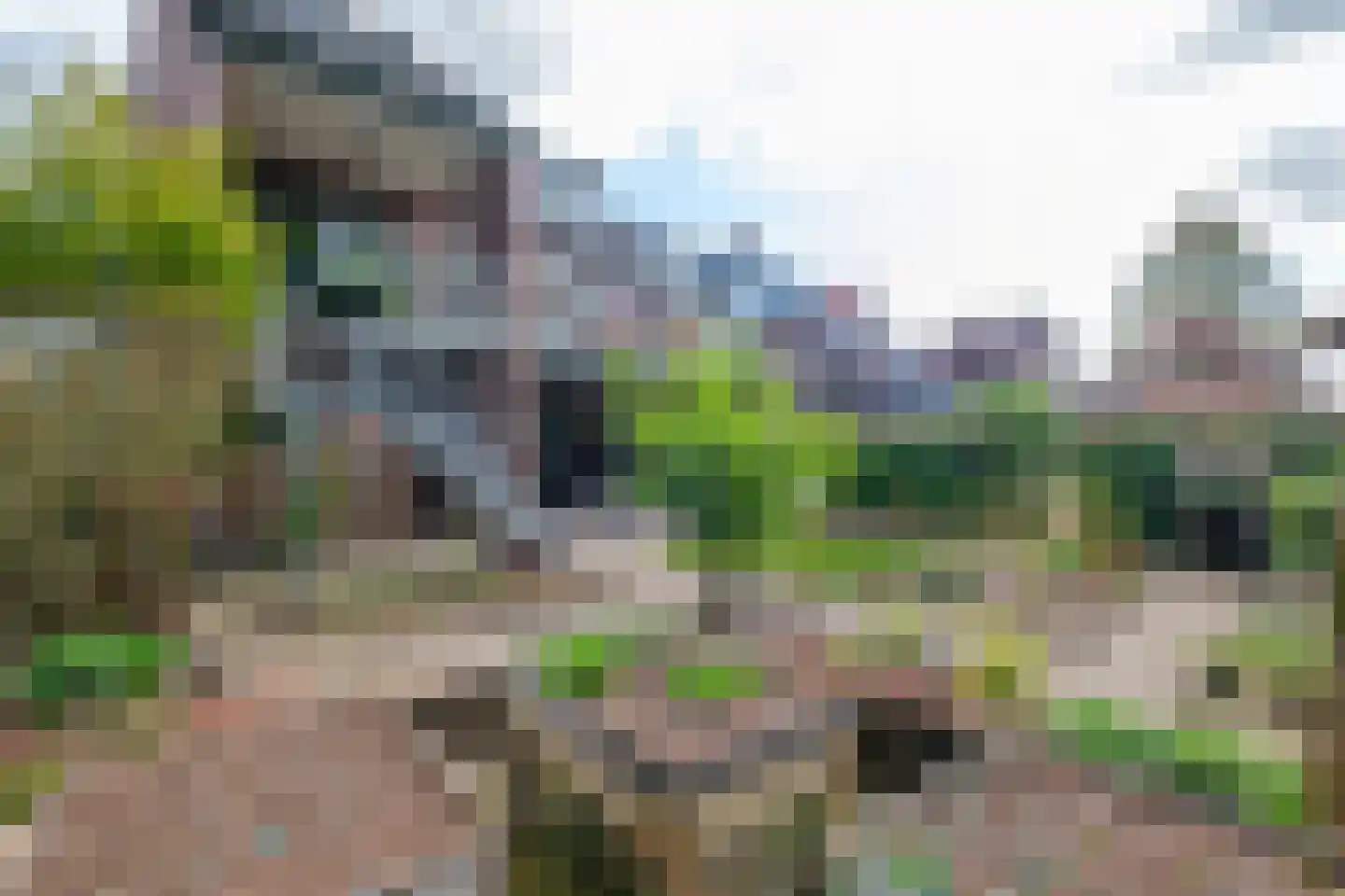 Achterweg 22 Genemuiden thumbnail 61