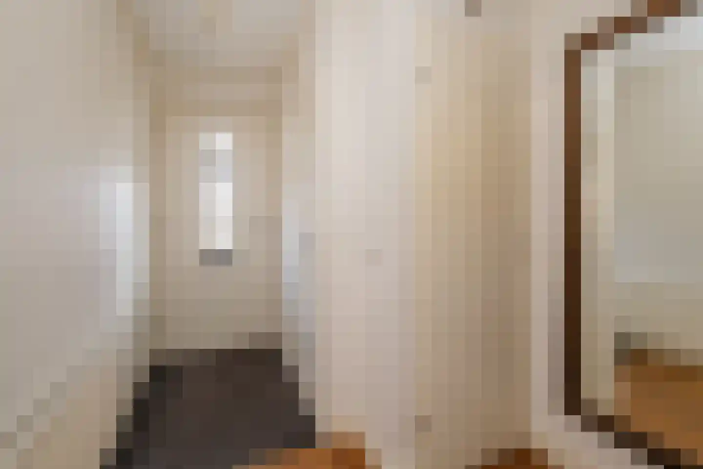 Achterweg 22 Genemuiden thumbnail 8