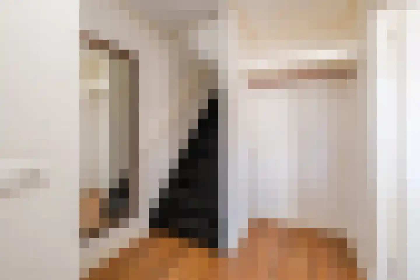 Achterweg 22 Genemuiden thumbnail 9