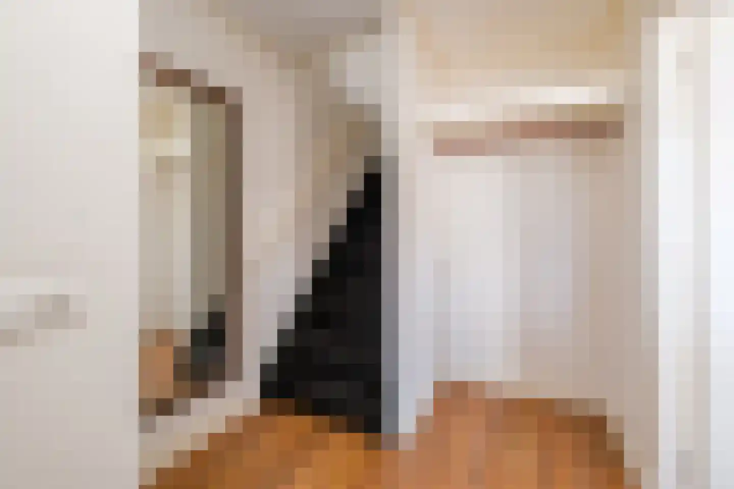 Achterweg 22 Genemuiden thumbnail 9