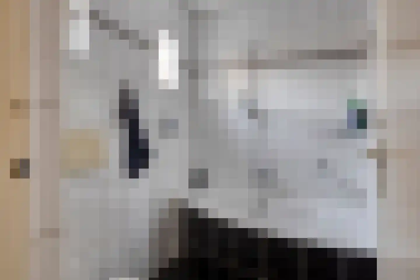 Achterweg 22 Herpt thumbnail 15
