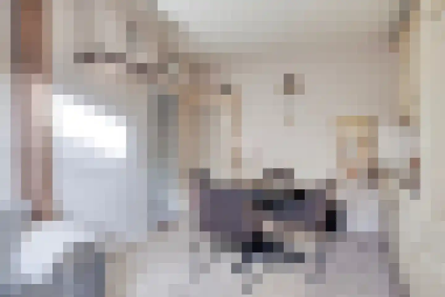 Achterweg 22 Herpt thumbnail 22