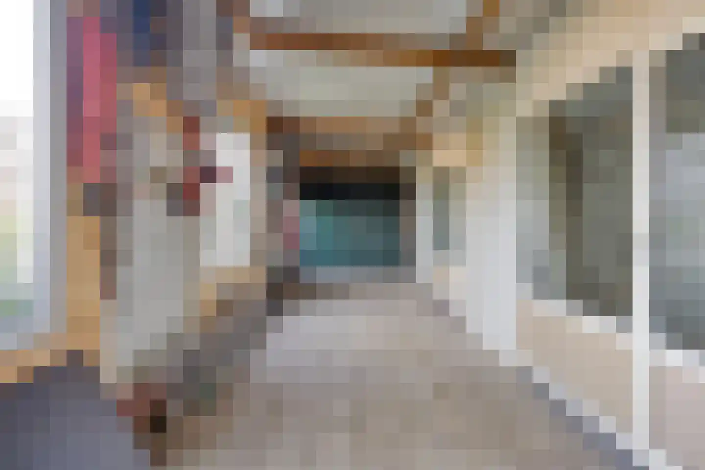 Achterweg 22 Herpt thumbnail 40