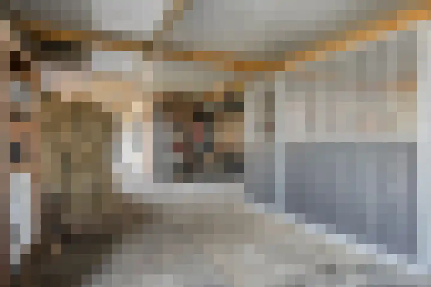 Achterweg 22 Herpt thumbnail 41