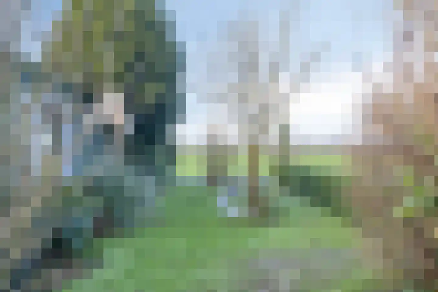 Achterweg 22 Herpt thumbnail 44