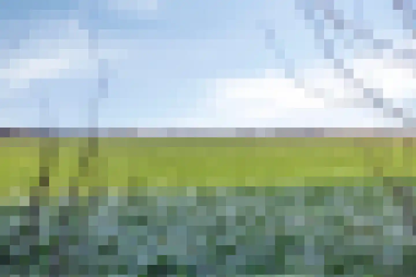 Achterweg 22 Herpt thumbnail 45