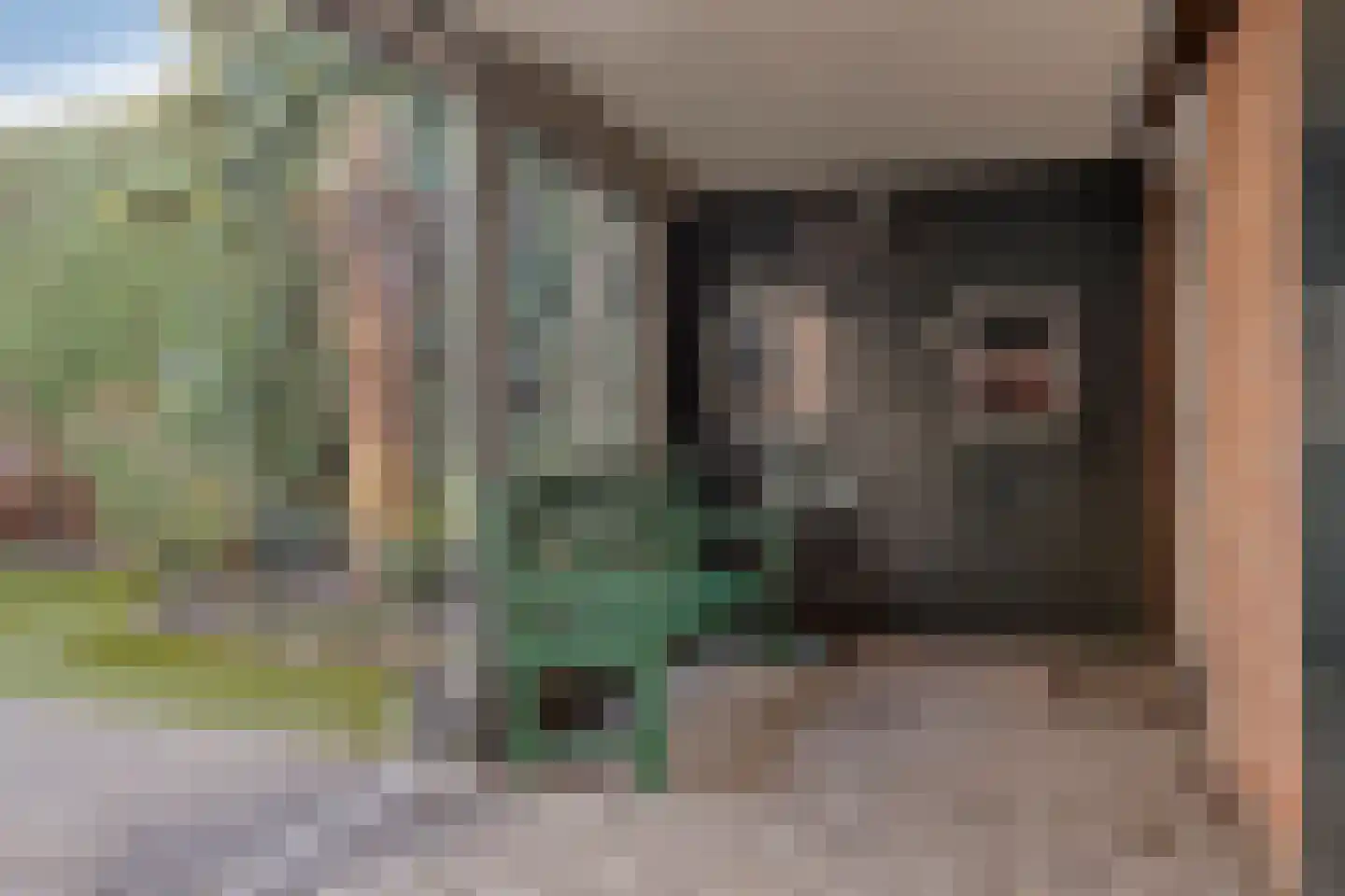 Achterweg 22 Herpt thumbnail 9