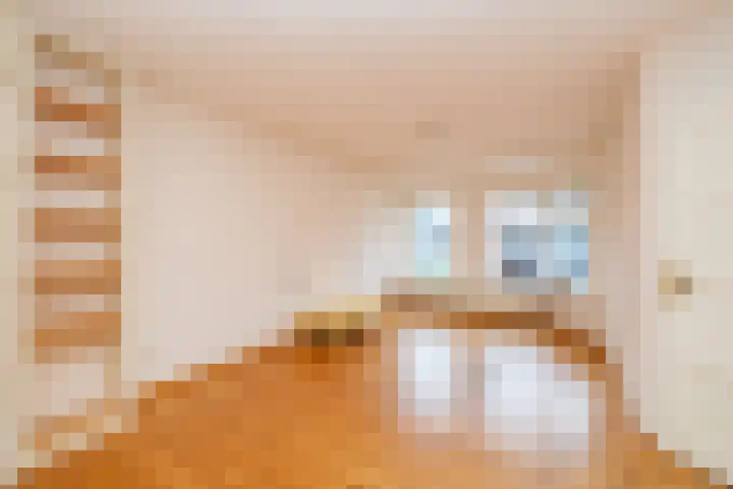 Achterweg 24 Genemuiden thumbnail 10
