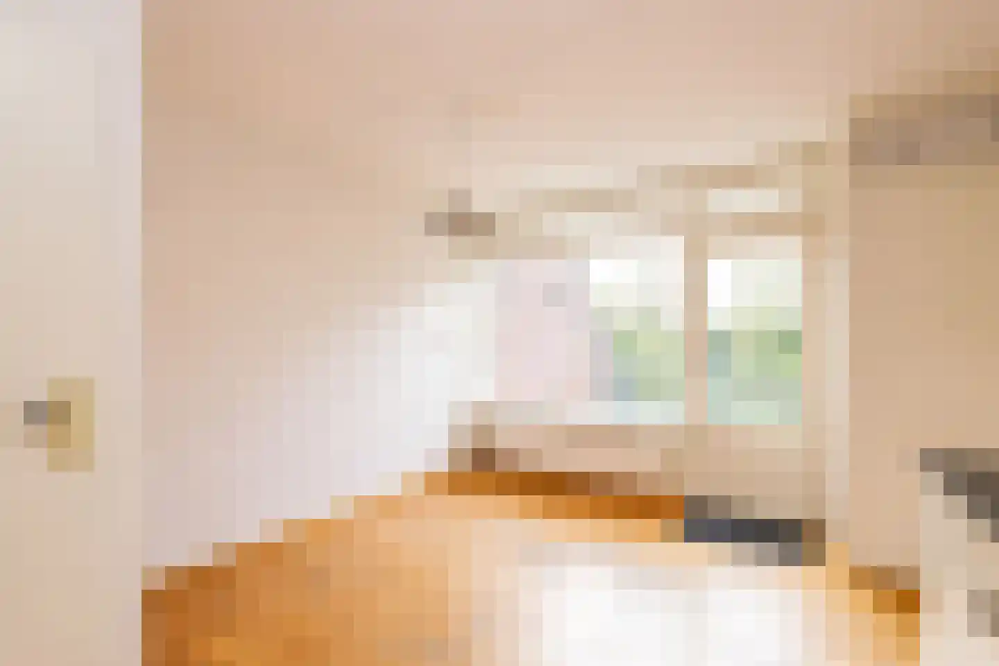 Achterweg 24 Genemuiden thumbnail 13