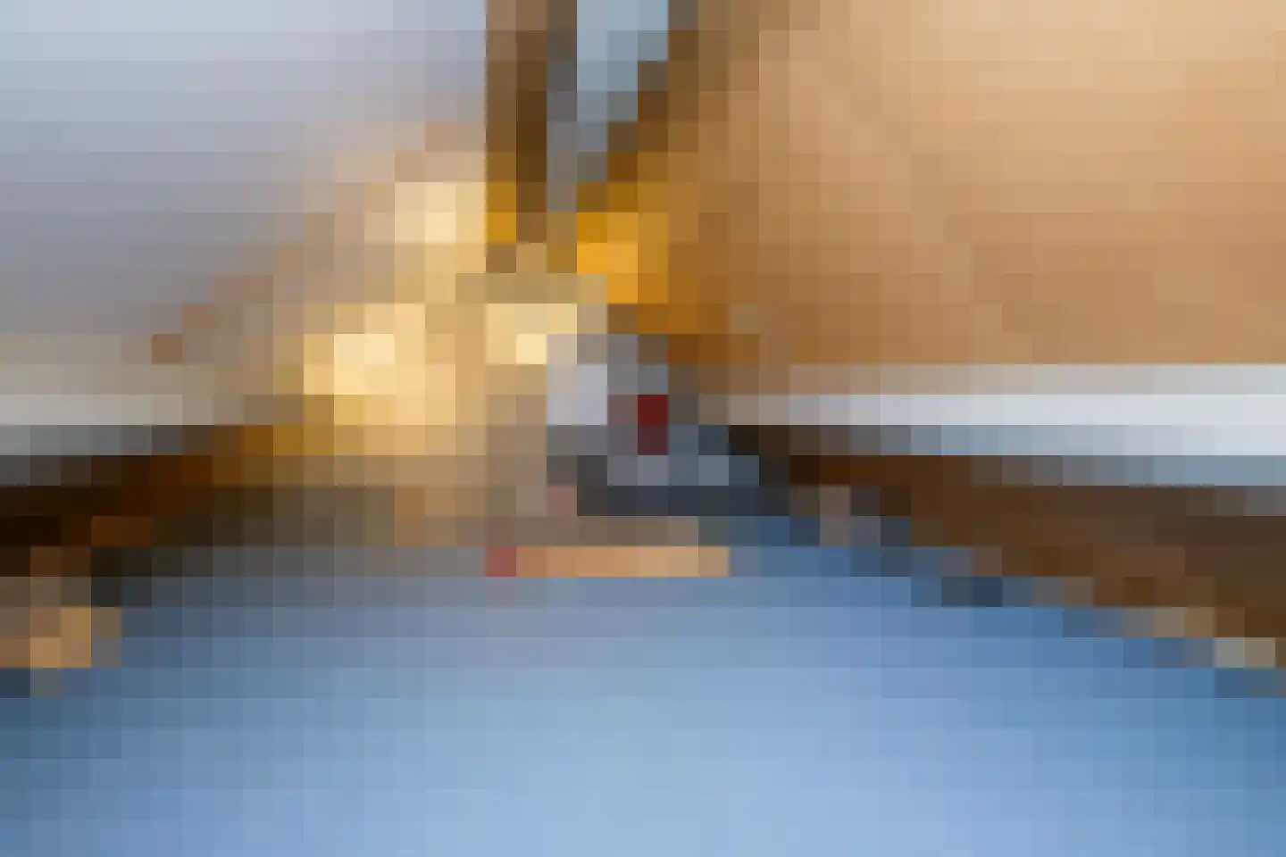 Achterweg 24 Genemuiden thumbnail 25