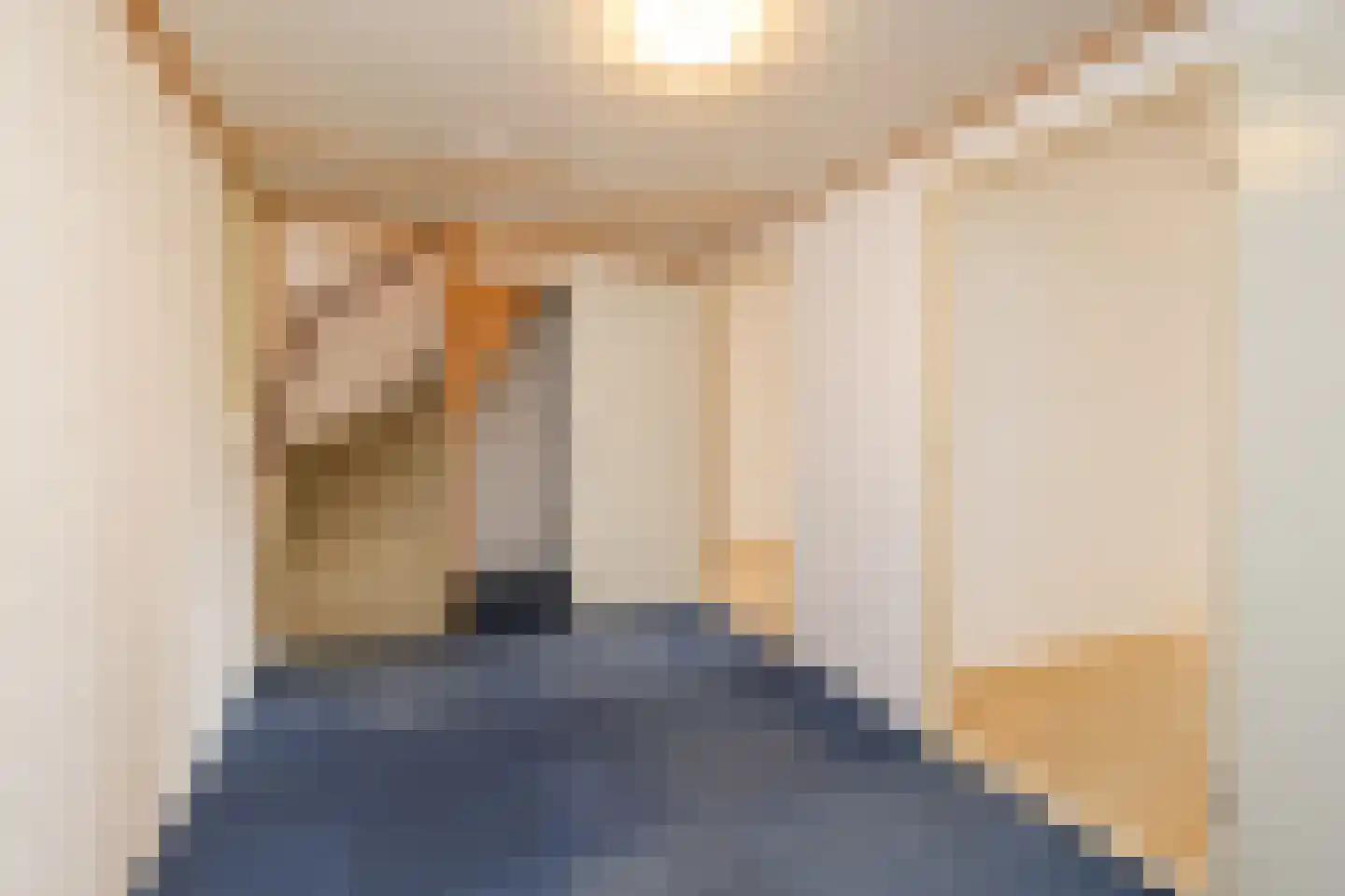 Achterweg 24 Genemuiden thumbnail 26