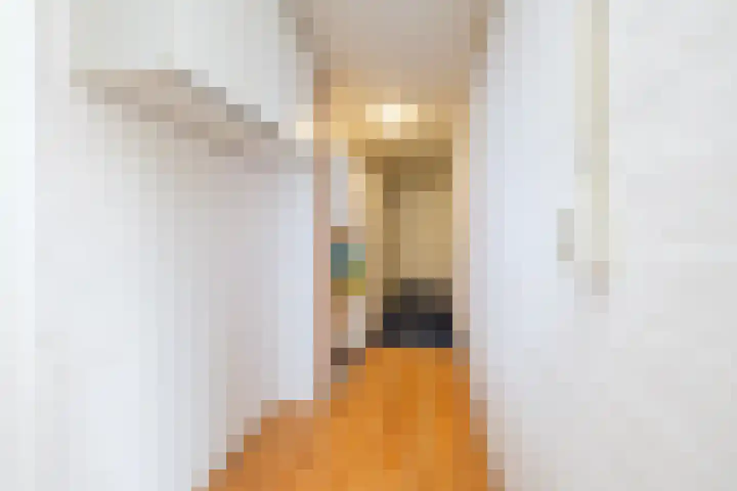 Achterweg 24 Genemuiden thumbnail 33