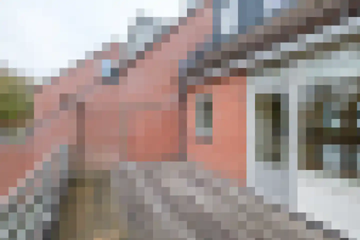 Achterweg 24 Genemuiden thumbnail 34