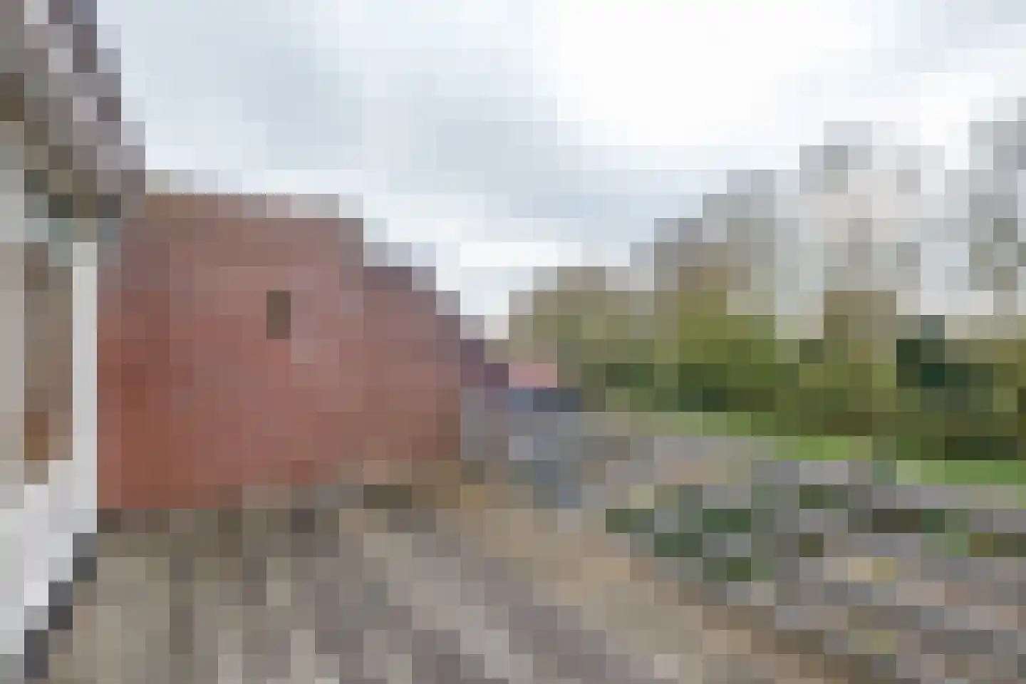 Achterweg 24 Genemuiden thumbnail 35