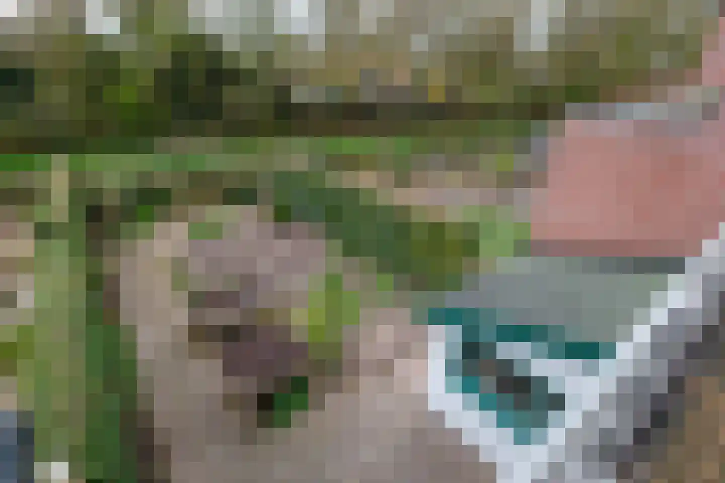 Achterweg 24 Genemuiden thumbnail 37