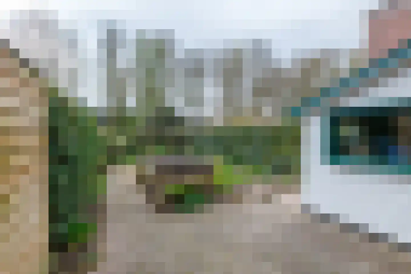 Achterweg 24 Genemuiden thumbnail 38