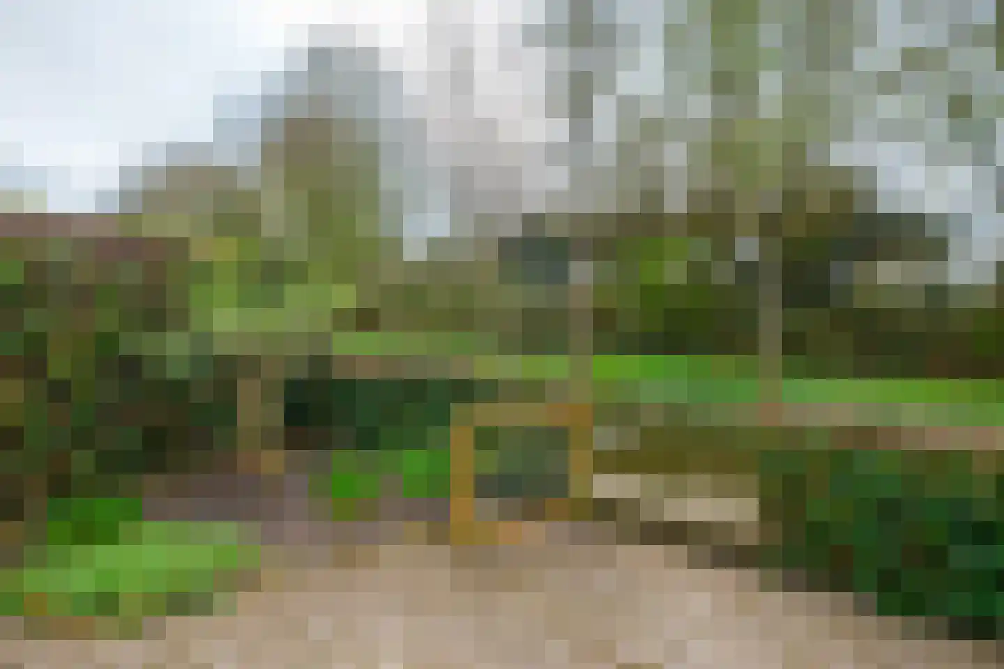 Achterweg 24 Genemuiden thumbnail 40