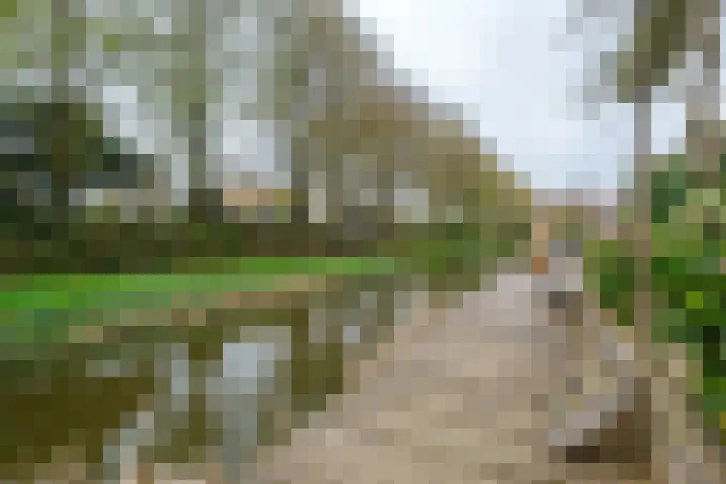 Achterweg 24 Genemuiden thumbnail 41