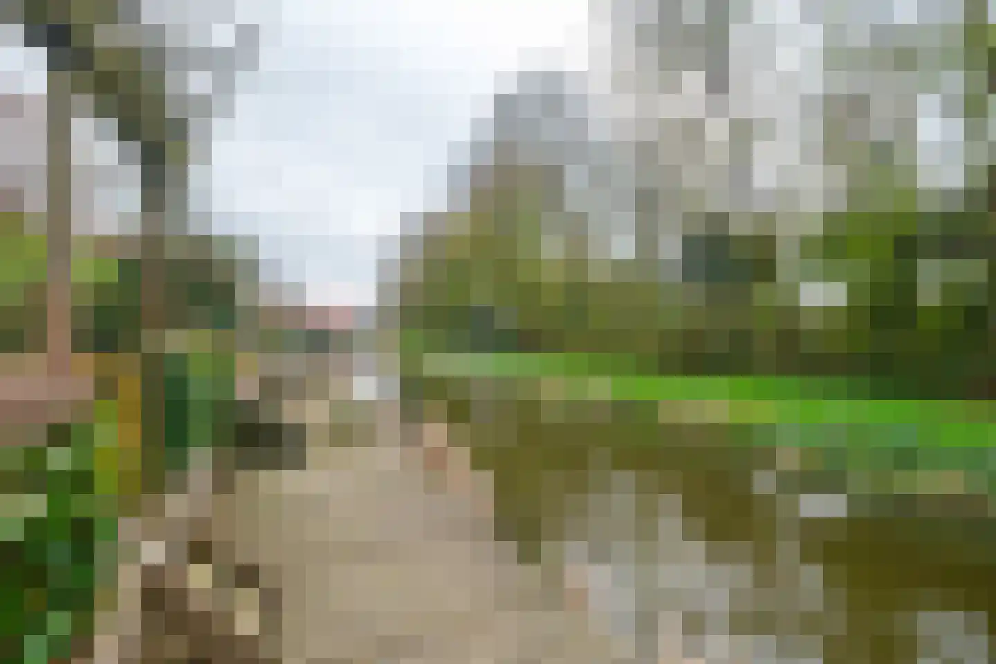 Achterweg 24 Genemuiden thumbnail 42