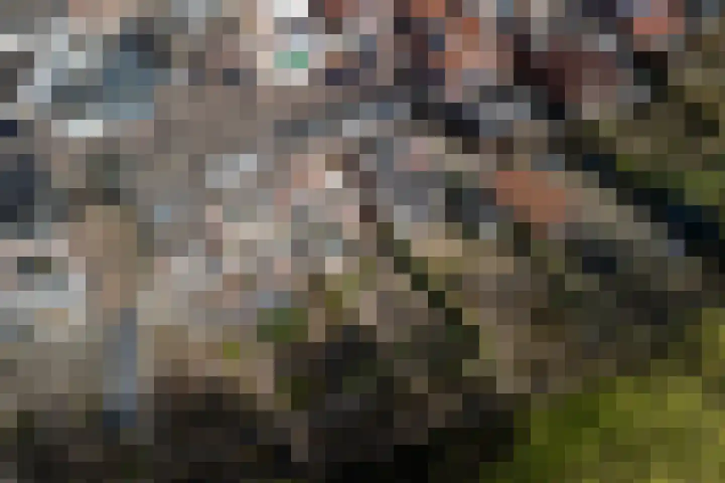 Achterweg 24 Genemuiden thumbnail 49