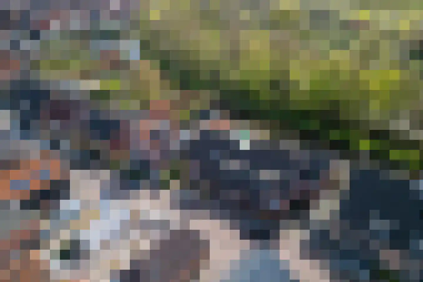 Achterweg 24 Genemuiden thumbnail 50