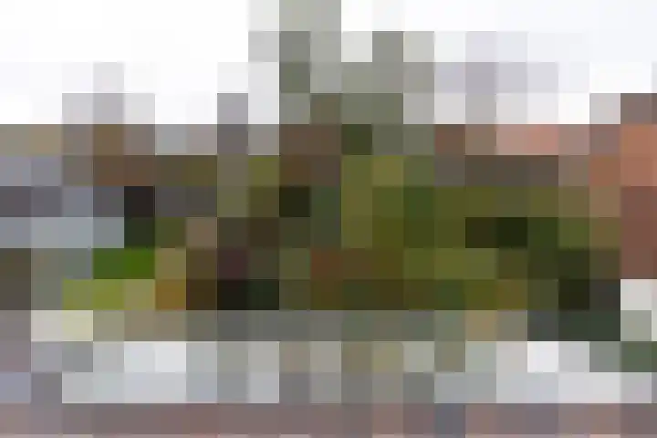 Achterweg 26 Heemstede thumbnail 28