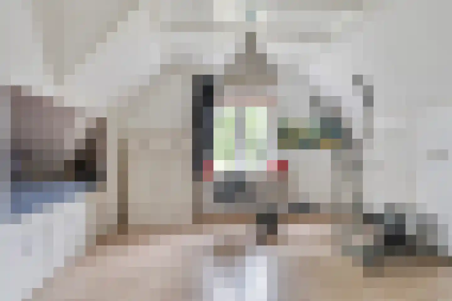 Achterweg 26 Herpt thumbnail 22
