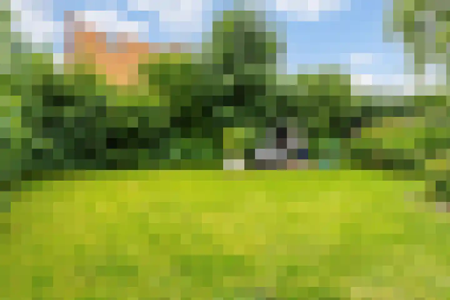 Achterweg 26 Herpt thumbnail 37