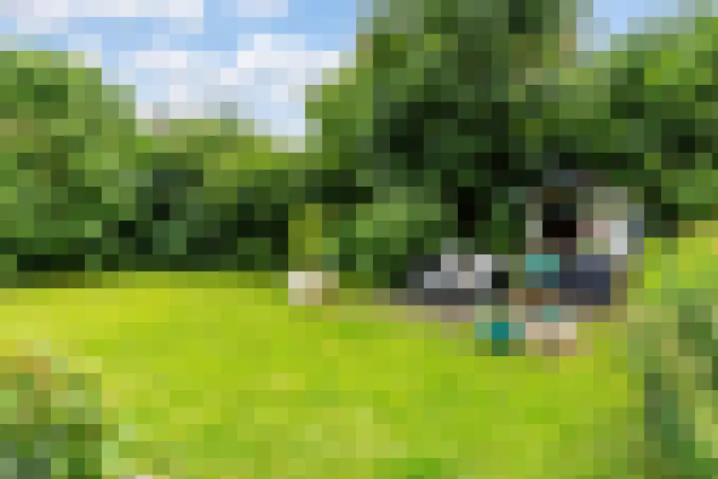 Achterweg 26 Herpt thumbnail 38