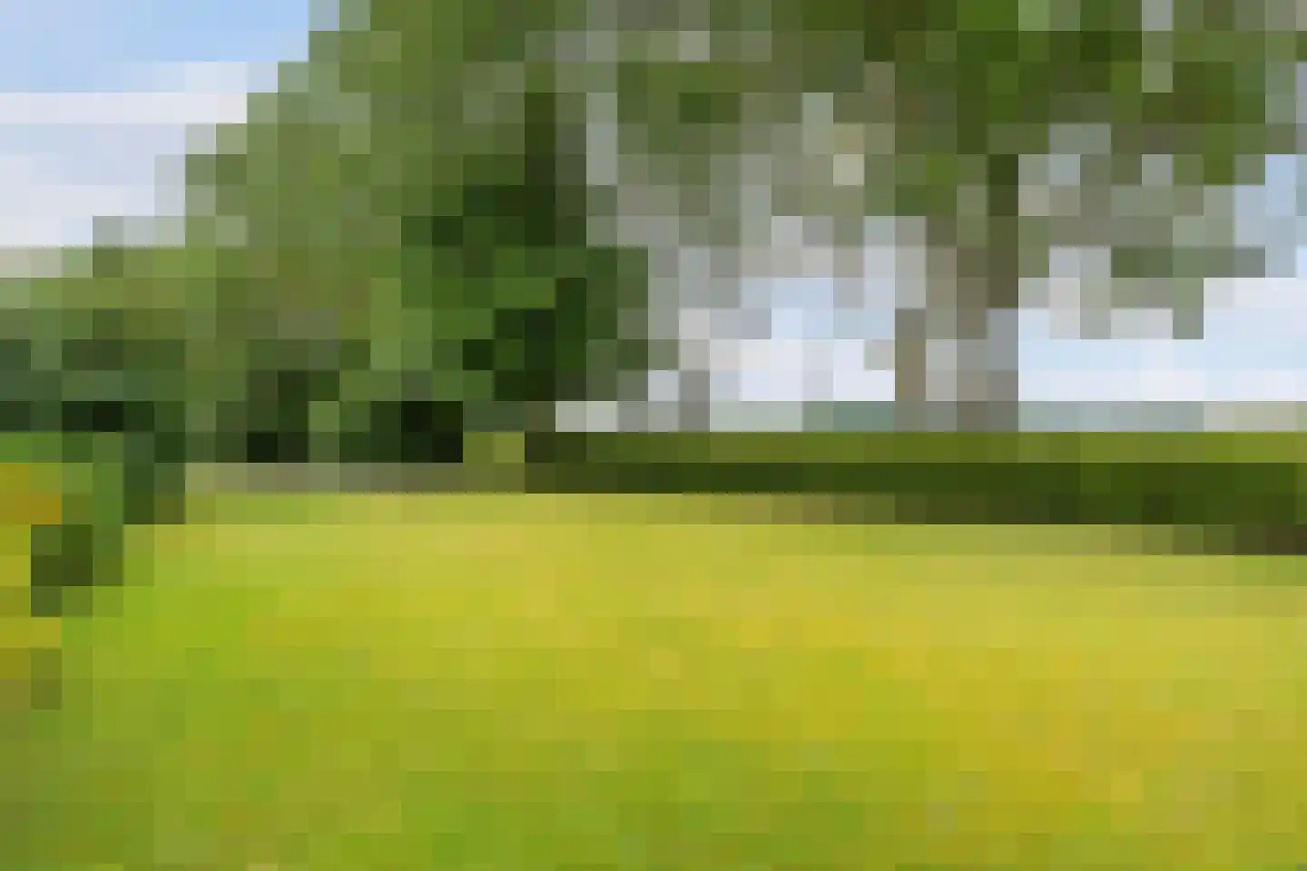 Achterweg 26 Herpt thumbnail 47