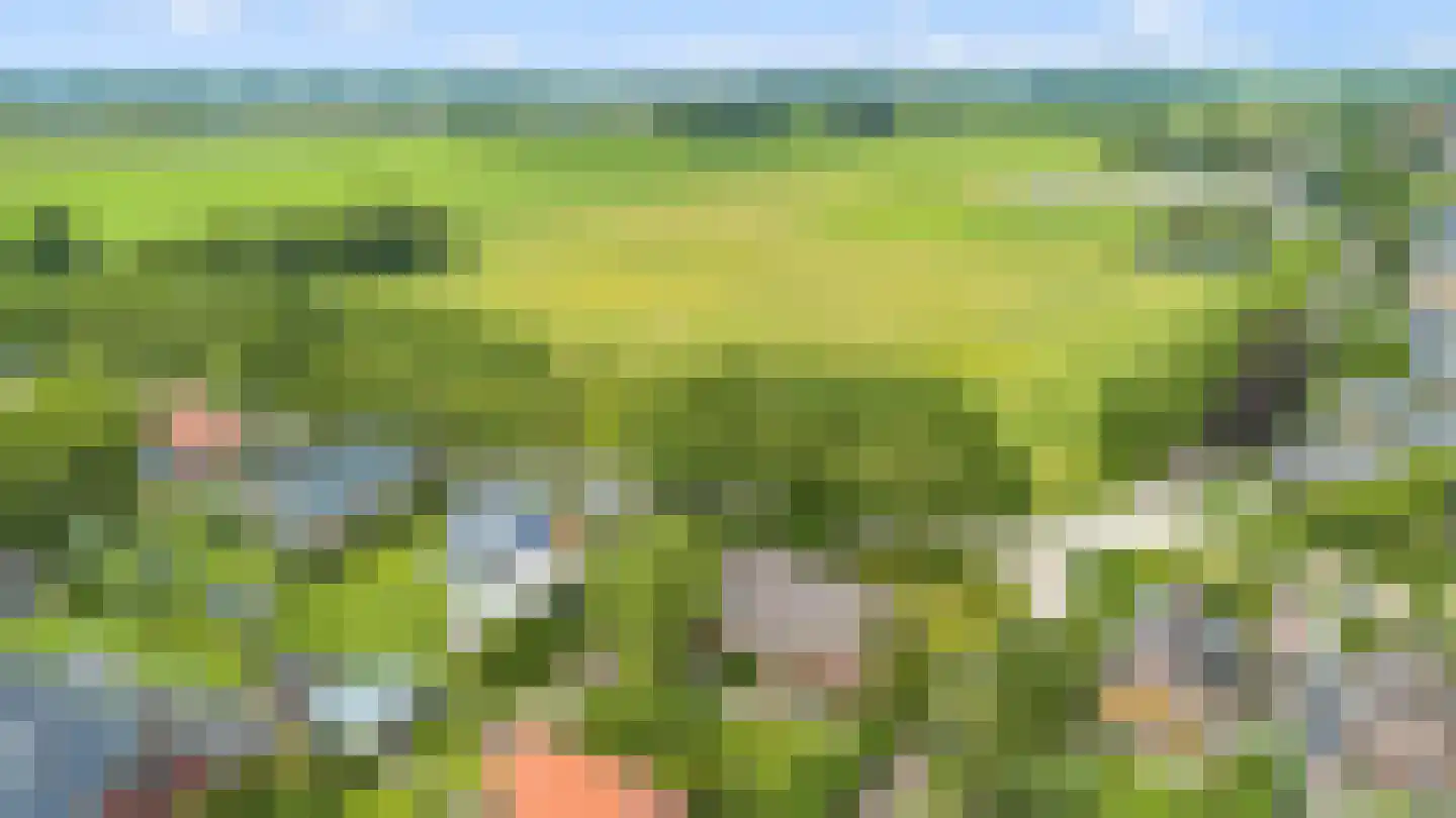 Achterweg 26 Herpt thumbnail 50