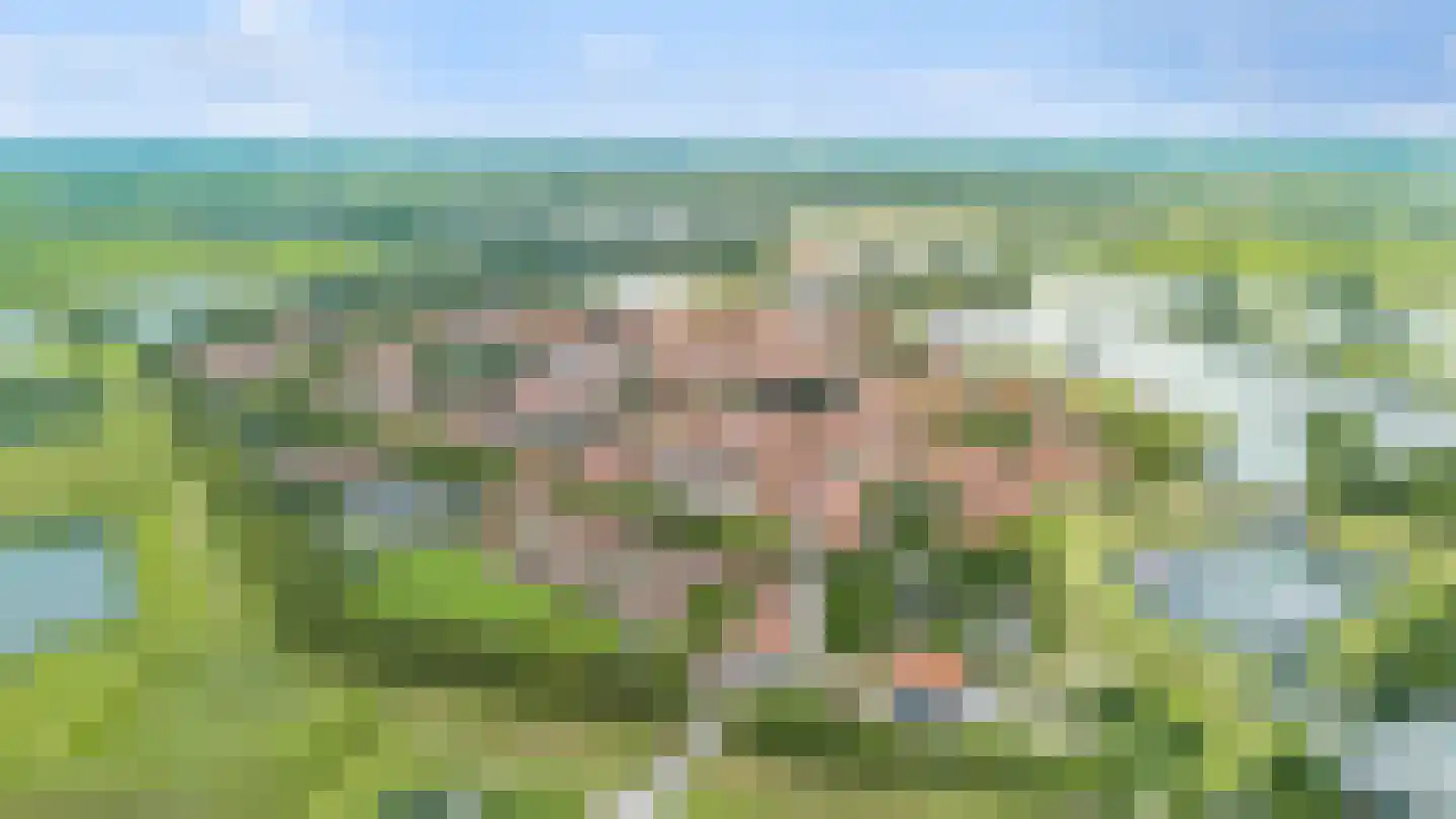 Achterweg 26 Herpt thumbnail 52