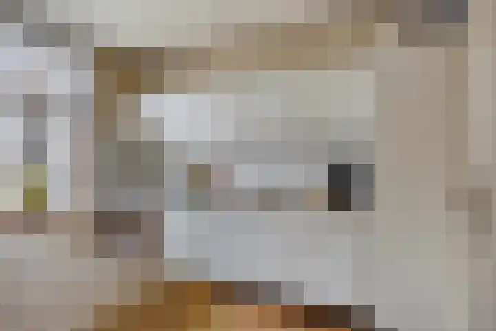 Achterweg 26 Melissant thumbnail 10