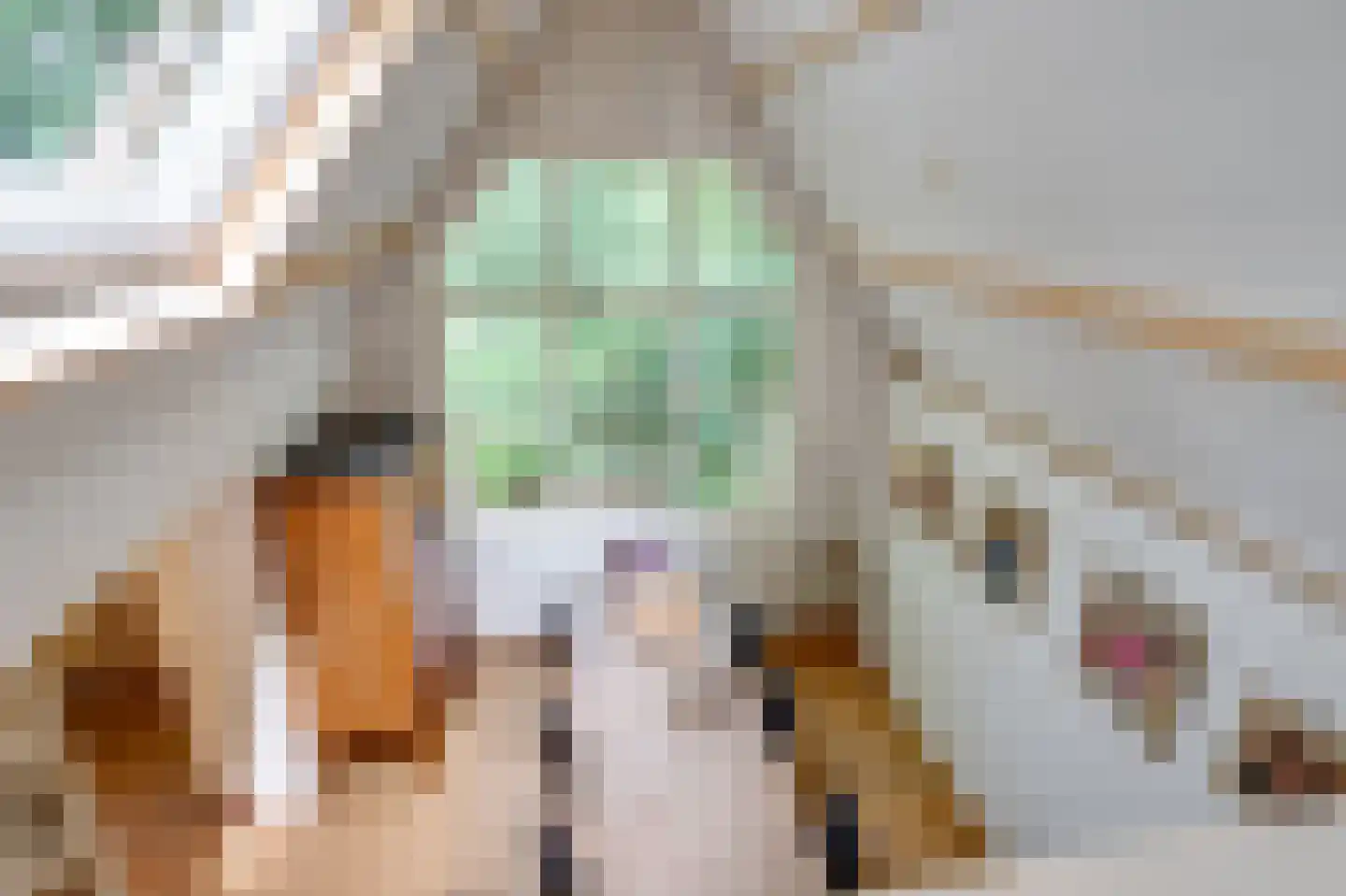 Achterweg 27 Groet thumbnail 28