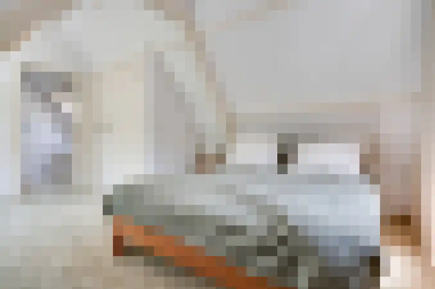 Achterweg 27 Groet thumbnail 31