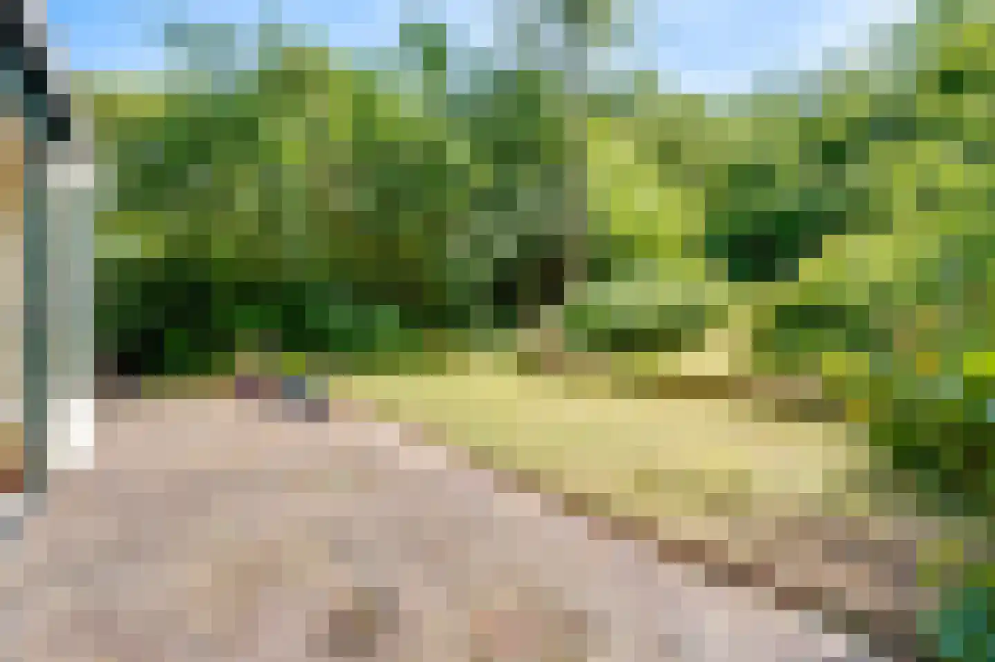 Achterweg 27 Groet thumbnail 38