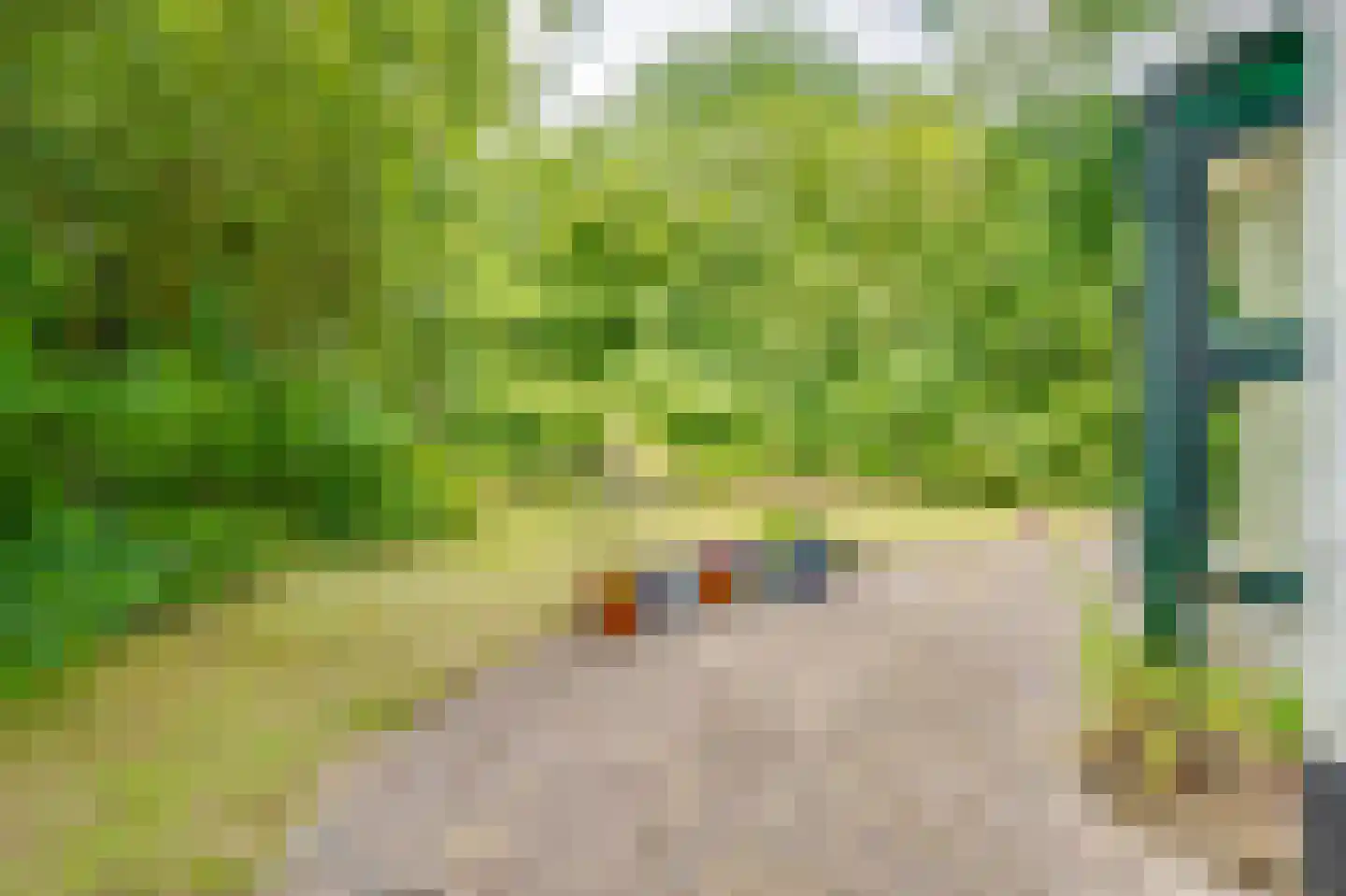 Achterweg 27 Groet thumbnail 39