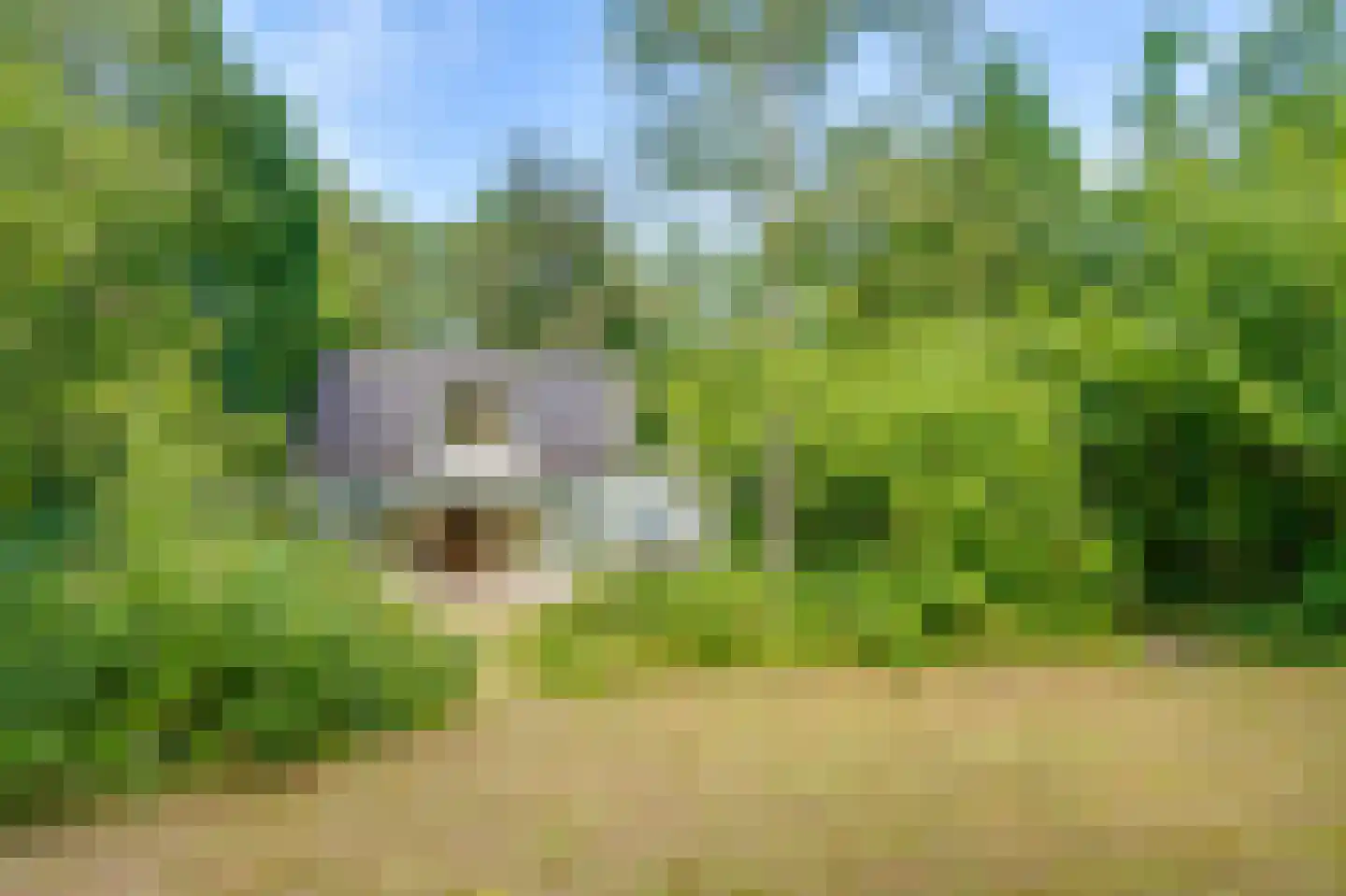 Achterweg 27 Groet thumbnail 42