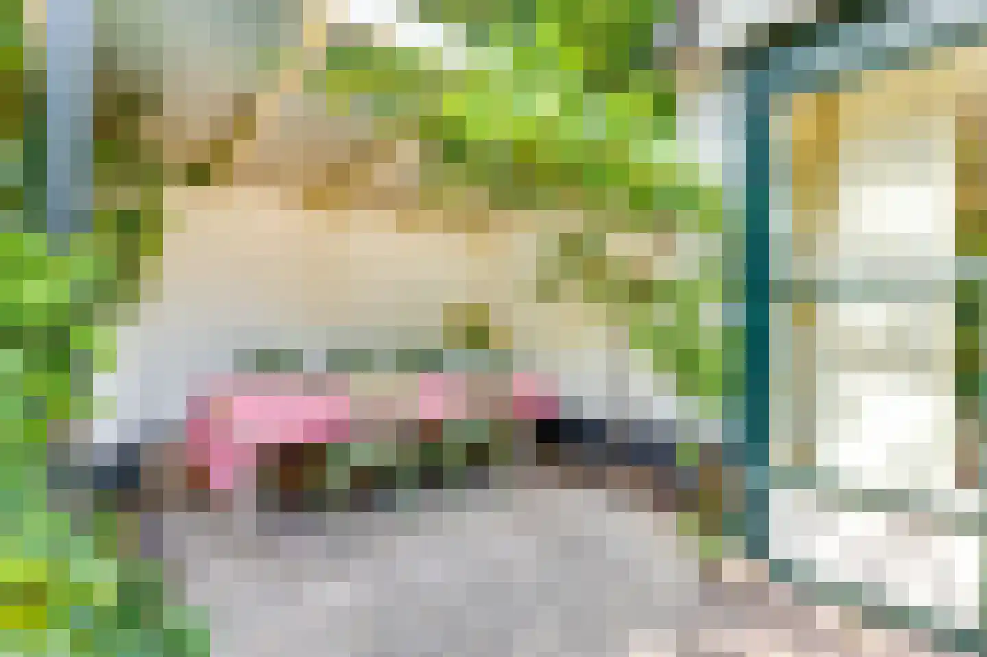 Achterweg 27 Groet thumbnail 43