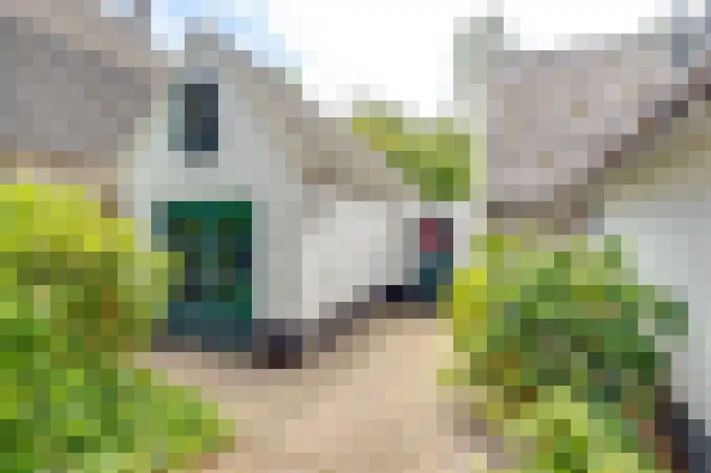 Achterweg 27 Groet thumbnail 46