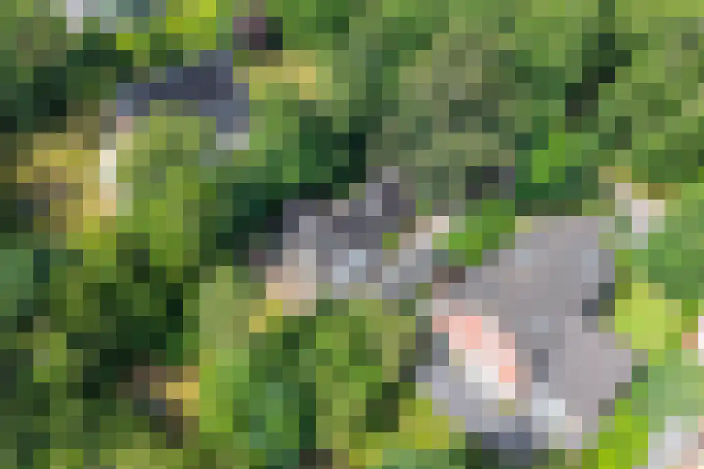 Achterweg 27 Groet thumbnail 50
