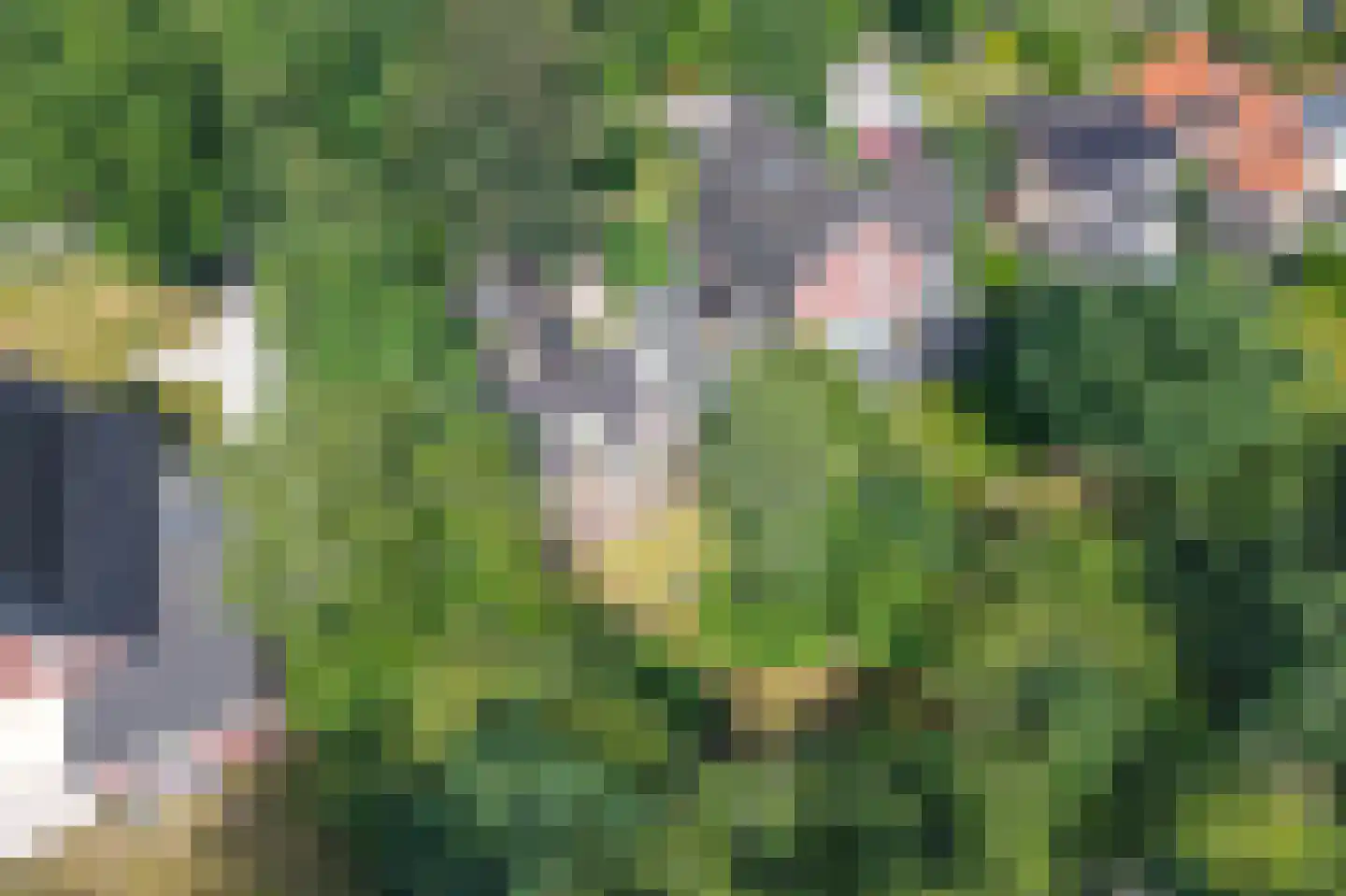 Achterweg 27 Groet thumbnail 51
