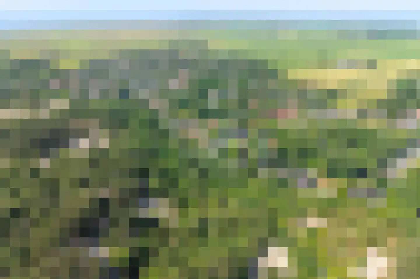 Achterweg 27 Groet thumbnail 52