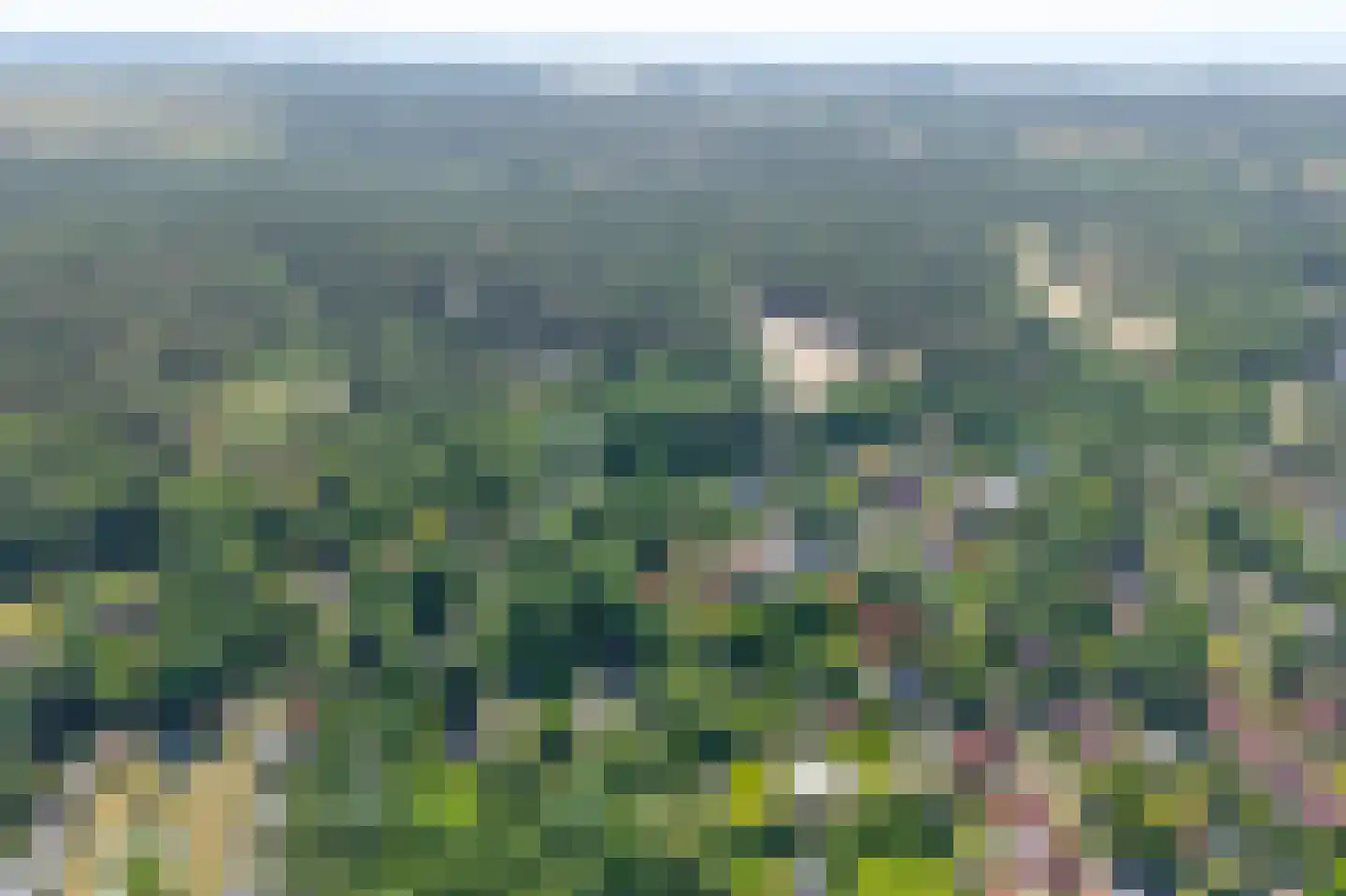 Achterweg 27 Groet thumbnail 53