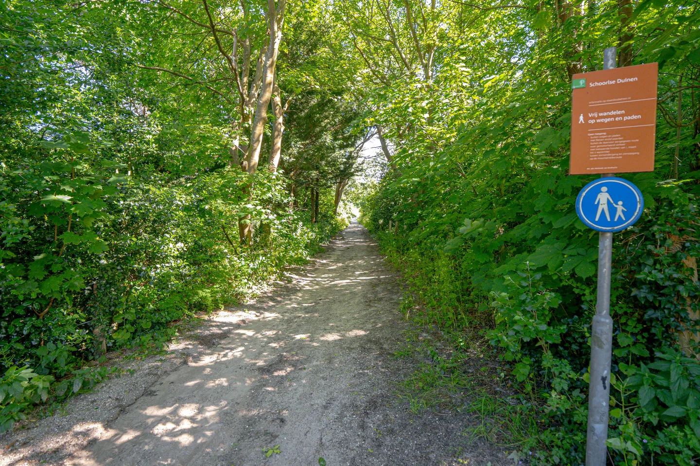 Achterweg 27 Groet thumbnail 56