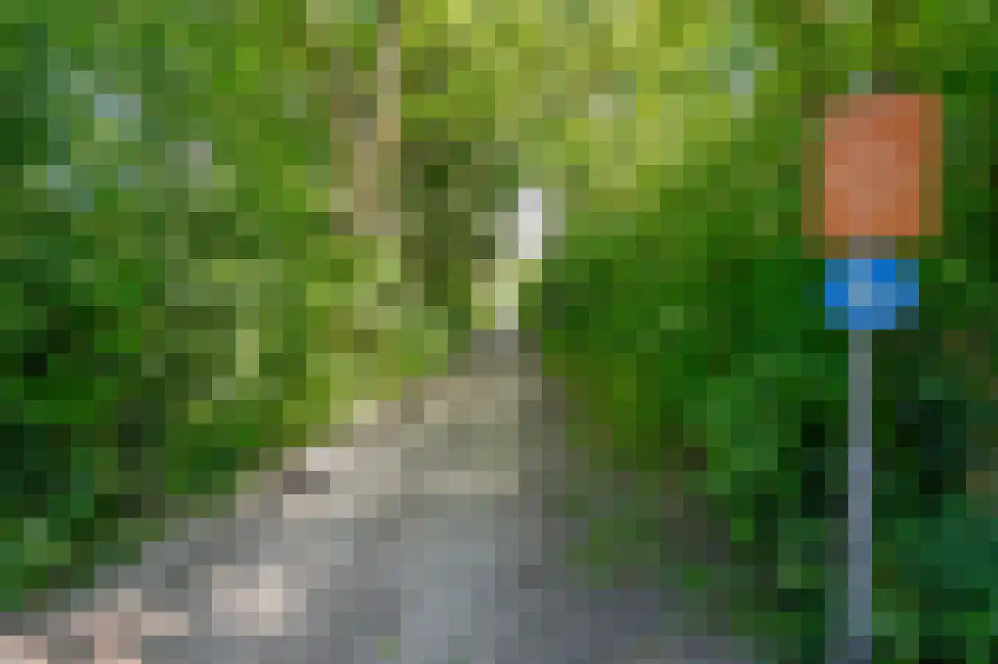 Achterweg 27 Groet thumbnail 56