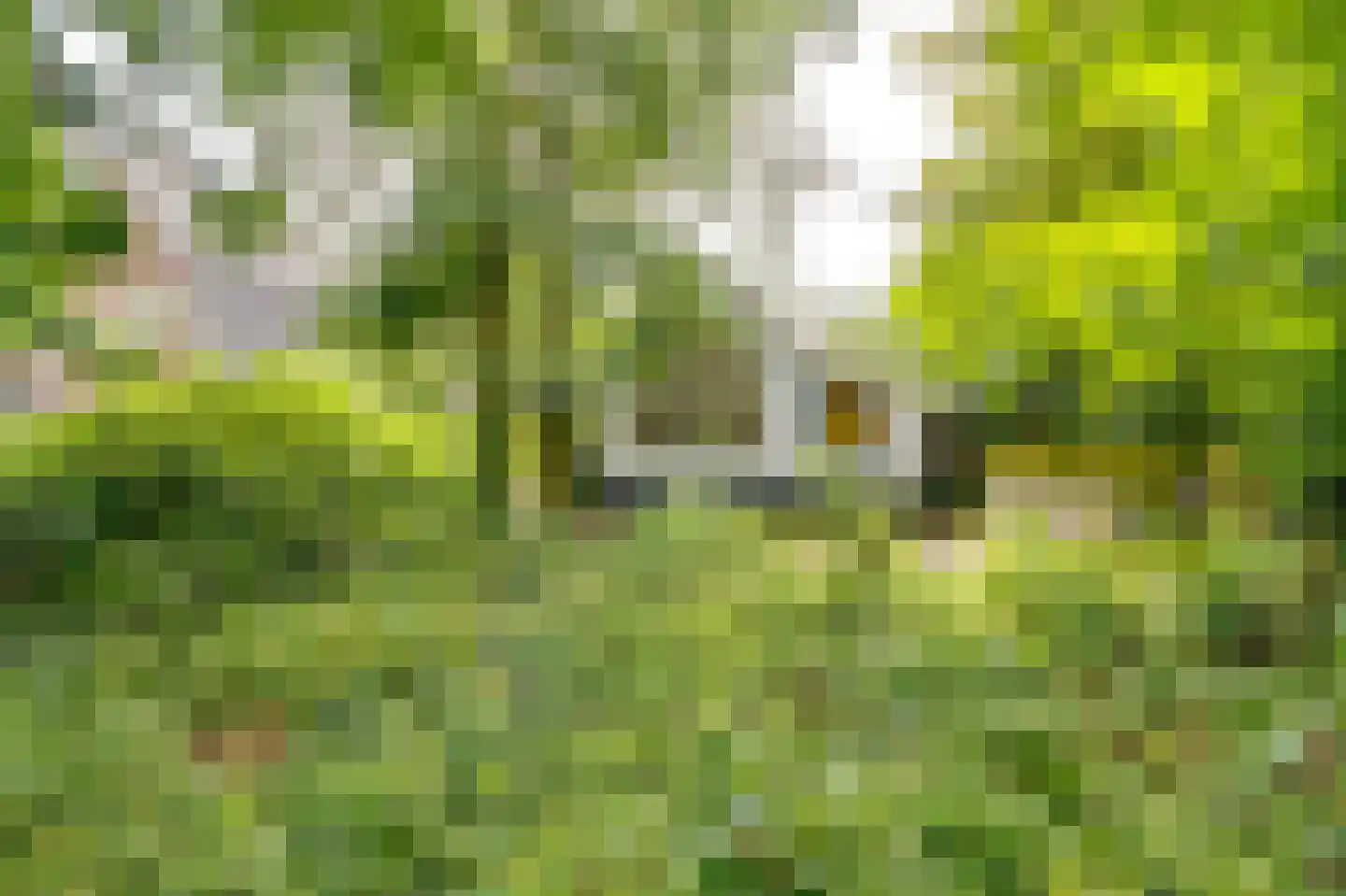Achterweg 27 Groet thumbnail 58