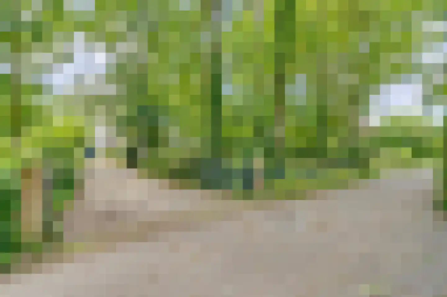 Achterweg 27 Groet thumbnail 59