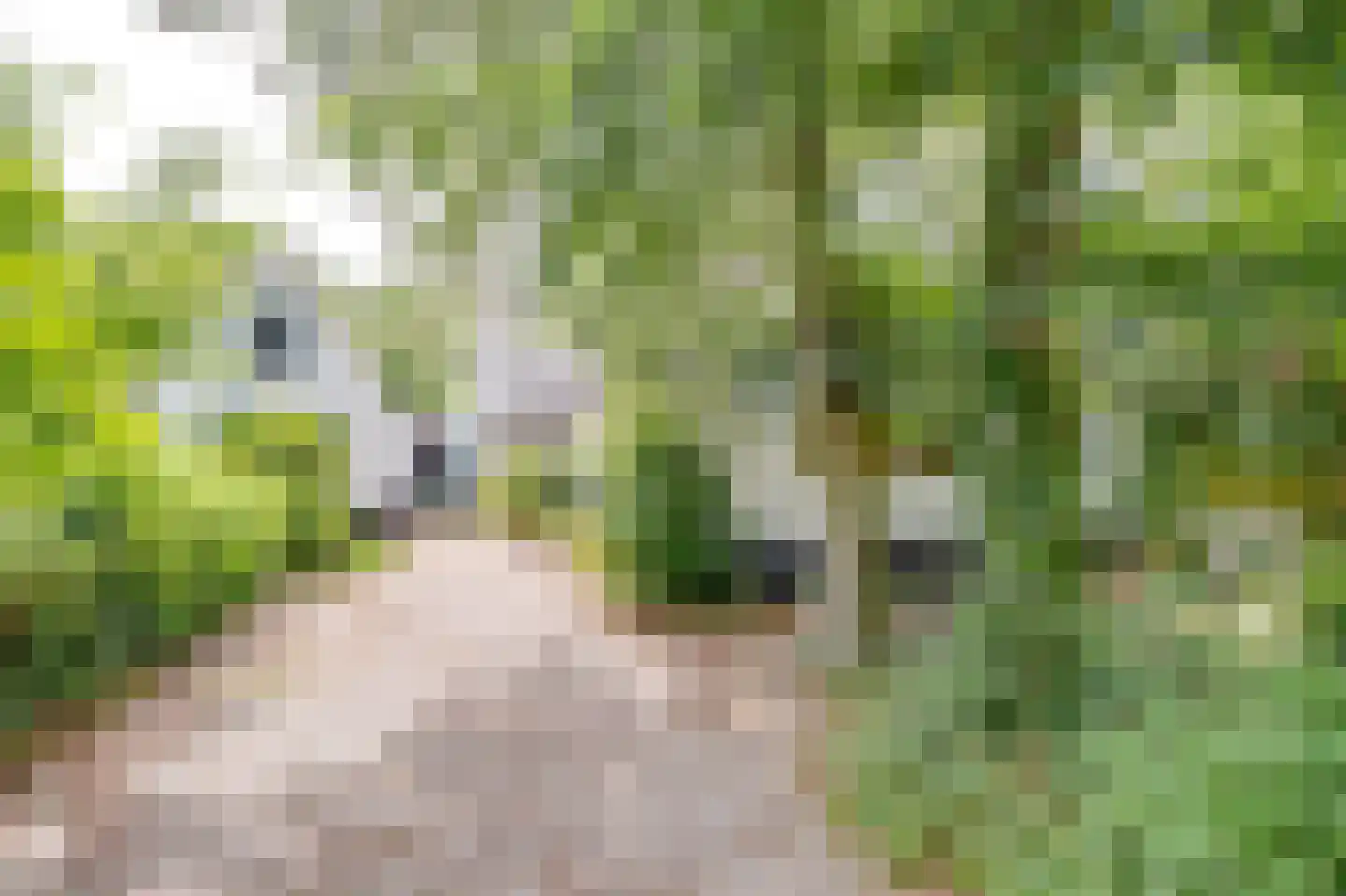Achterweg 27 Groet thumbnail 60
