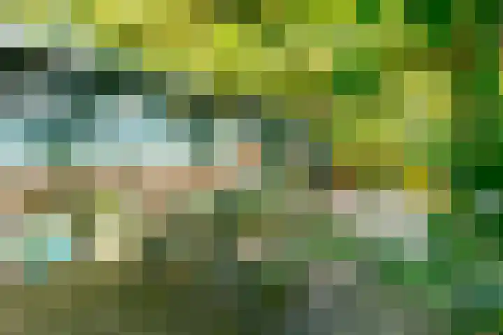 Achterweg 27 Odoornerveen thumbnail 10